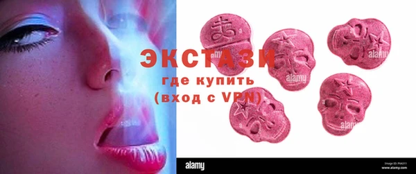 соль ск Ельня