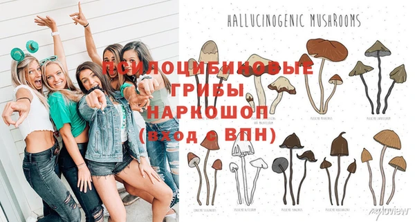 ECSTASY Заводоуковск