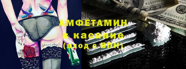 соль ск Ельня