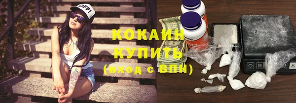 соль ск Ельня
