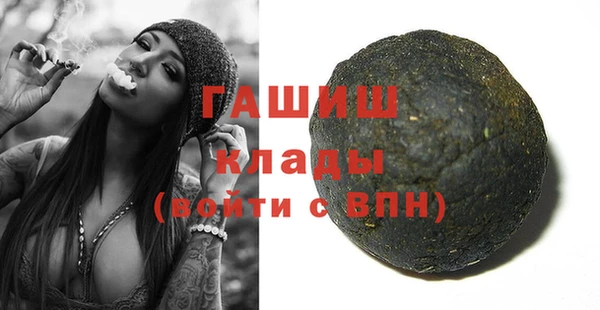 индика Рыльск