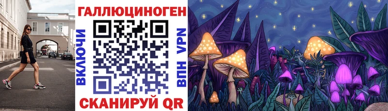 mega как зайти Кохма Псилоцибиновые грибы MAGIC MUSHROOMS